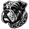 American Bulldog