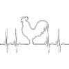 Heartbeat Coq Poulet Amour Fermiers