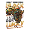 African American Black History