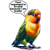 Lovebird Love Birds
