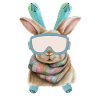Skihase/Skibunny