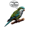Quaker Parrot Monk Parakeet