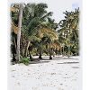 Palmenmeer