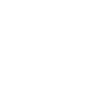 w rizz