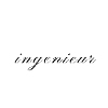 Wirschaftsingenieur