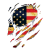 Ripped USA Flage Gift Tears