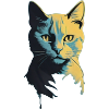 Katzengesicht