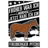Freiberger Pferd Reiterin