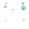 Livres Et Café Pour Chiens