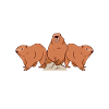 Groundhog - I really like groundhogs