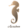 hippocampe