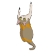 Climbing cat