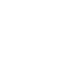 Singer