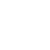 Singer