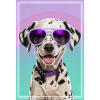 Cute dalmatian puppy with sunglasses