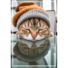 Cute sleeping kitty