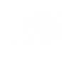 Mécanicien Mécanicien d’atelier Mécanicien automobile