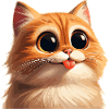 Cat with huge eyes