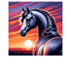 Arabian Horse Drawing