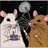 Fumer des rats dans l’espace.