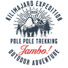 Kilimanjaro expedition - Pole pole trekking