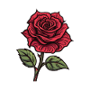 Rose Symbole Amour