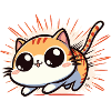 Chat avec les zoomies