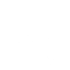 original 1966