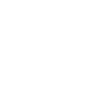 White dharma wheel