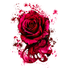 rote rose,welle,malerei,aquarell,rose