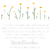 Gänseblümchen