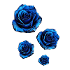Blue Roses,Blue,Roses,Painting,Ink