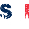 Ski Team France Emblem