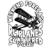 Model aircraft