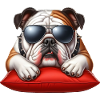 Bulldog Wearing Sunglasses