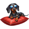Cute Dachshund Wearing Sunglasses