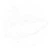 Cercle de dessin de requin