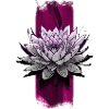 Blushing Bloom: Pink Lotus Flower