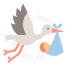 Cigogne avec bébé 2026