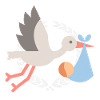 Cigogne avec bébé 2025