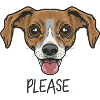 Pleasing Dog