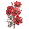 Beautiful Red Flower