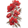 Schöne Rote Blume