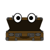 Suitcase Luggage Suitcases Tavelling