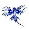 BLAUER DRACHE