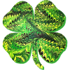 Clover E 35