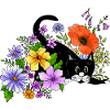 Chat
