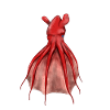 VAMPYROTEUTHIS INFERNALIS