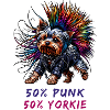 Yorkshire Terrier Punk