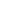 E-Gitarre Evolution